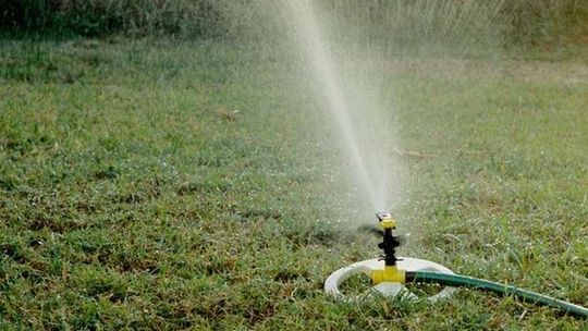 Zielona trawa zaskoczyła radnego. Podlewali, bo nie było zakazu
