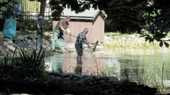Zielona woda w Ogrodzie Saskim. Dzisiaj stawy mają być już czyste