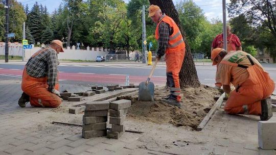 Zielony budżet w Lublinie. Ostatnie chwile dla pomysłowych