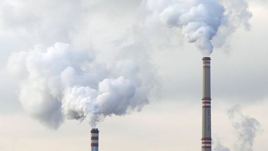 Zielony Ład poruszył przewodniczącego rady powiatu bialskiego. "Sięgamy szczytów hipokryzji"