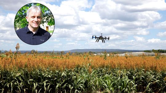 Ziemia przetrwa, ale czy będzie żywność, czy będą drzewa?