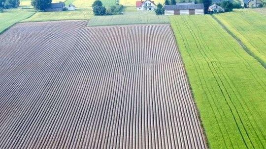 Ziemia rolna pod zastaw? Bank się nie zgodzi. To skutki ustawy PiS o obrocie ziemią