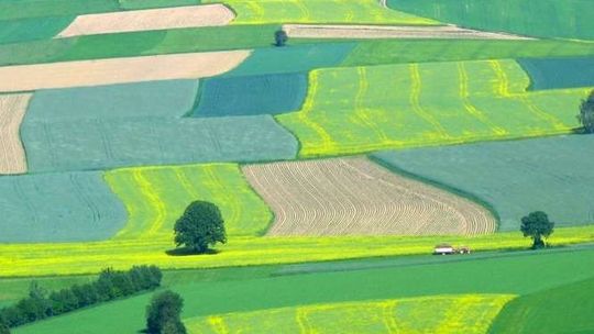 Ziemię kupią rolnicy, ale i Kościoły oraz związki wyznaniowe. Nowa ustawa