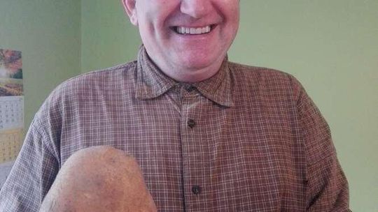 Ziemniak-gigant pana Witolda. Waży 1,1 kg. "Ciekawostka, ale jego cel to niedzielny obiad"