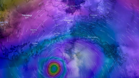 Zima bez mrozu? Prognozy sugerują łagodną zimę, ale czy naprawdę tak będzie?