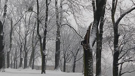 Zima dotarła do Chełma. Miasto zasypane białym puchem