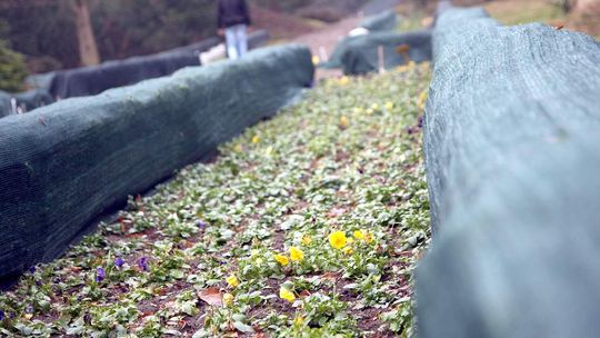 Zima się przesuwa. Zaatakuje wiosną?