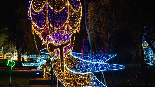 Zima w Ogrodzie Botanicznym? Kolejny raz pod znakiem Lumina Park