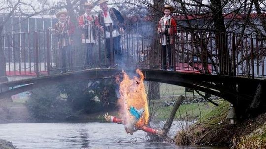 Zimo, idź precz! Powitanie wiosny w Ogrodzie Botanicznym UMCS