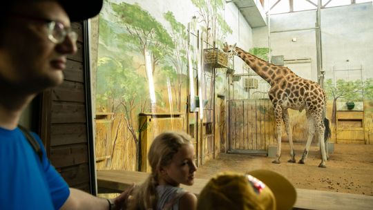 Zimowa promocja w ZOO w Zamościu. Bilety o ponad połowę tańsze