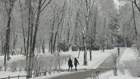 Zimowy Ogród Saski. Zdjęcia Czytelnika