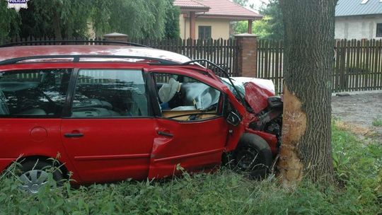Zjechał na pobocze i uderzył w drzewo. Powód? Złe wyprzedzanie 