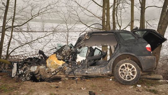 Zjechał z drogi i uderzył w drzewo. Kierowca jest w śpiączce