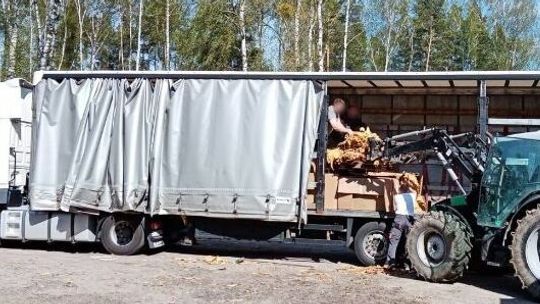 Zlikwidowali fabrykę papierosów. Tony tytoniu musieli pakować ładowarką [wideo]