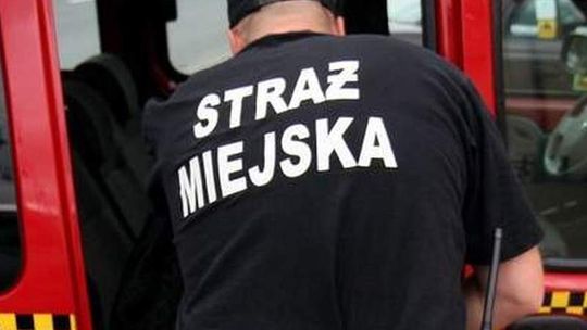 Zlikwidują Straż Miejską w Łęcznej? 500 podpisów mieszkańców