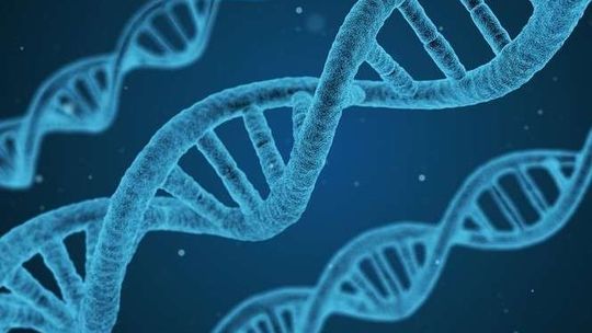 Złodziej okradł samochód. Zdradziło go DNA