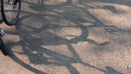 Złodziej rowerów za kratkami