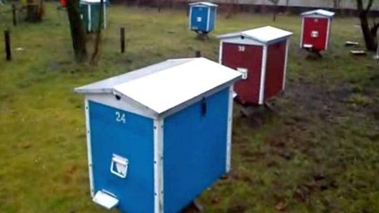 Złodziej ukradł ule z pszczołami w środku (wideo)