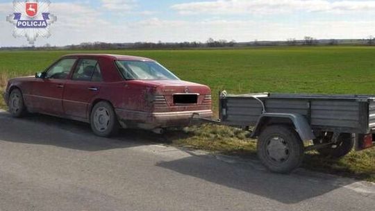 Złodzieje w lesie. Uciekali i gubili kradzione sadzonki