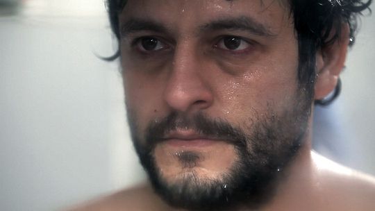 Złote Mrówkojady czyli wielki festiwal małych filmów (program)