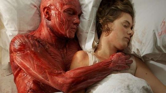 Złote Mrówkojady - Emocje