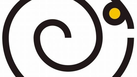 Złote Mrówkojady. Święto krótkiego kina w Lublinie