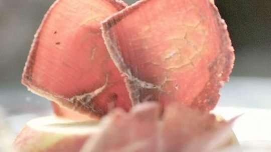 Złote przeboje lubelskiej kuchni. Gdzie można jej spróbować - ranking