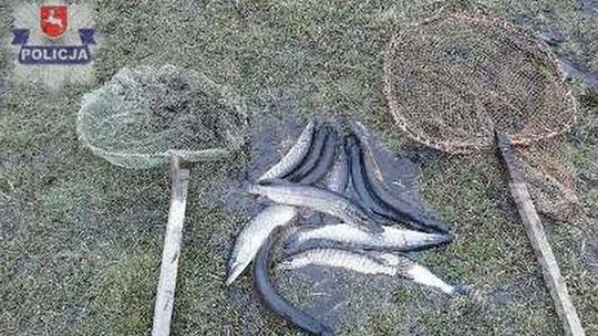 Złowili 14 szczupaków, ale długo się nimi nie cieszyli