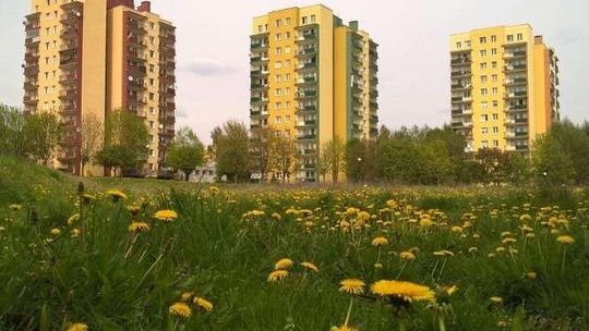 Zmiana na Porębie: Bloki zamiast zieleni. Mieszkańcy mogą zgłosić uwagi