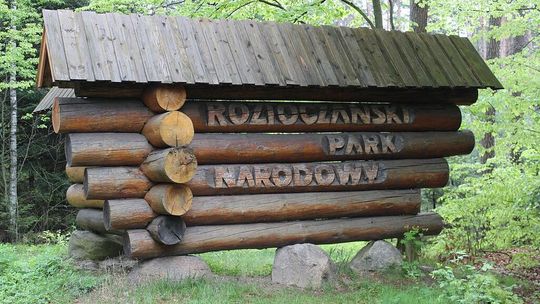 Zmiany kadrowe w RPN. Dotychczasowy dyrektor został odwołany