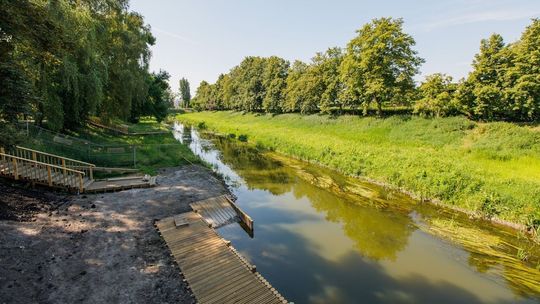 Zmiany na ulicach w Lublinie. Zamkną jeden pas ruchu koło Parku Ludowego