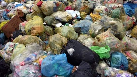Zmiany w wywozie i segregacji śmieci. Pięć pojemników zamiast dwóch?