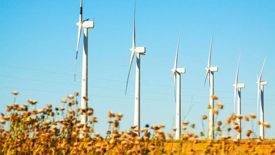 Zmniejszenie śladu węglowego firmy w 2025 roku: OZE, modernizacja infrastruktury i strategia ESG