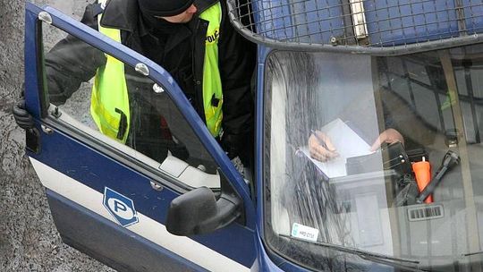 Żmudź: Zderzenie opla z sarną