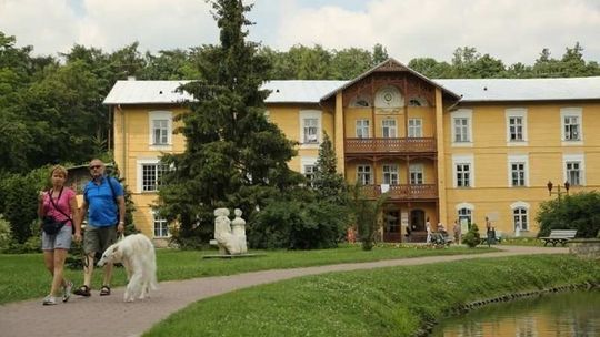 Znajdą się pieniądze na remont zabytkowego parku w Nałęczowie?