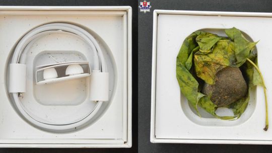 Znajdź 10 różnic. Zamówiła dla dziecka słuchawki, dostała liść i kamień