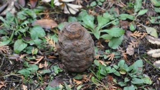 Znalazł granat w polu i przywiózł go policjantom