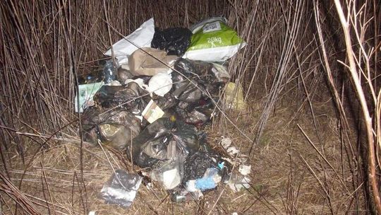 Znalazła swoje śmieci w krzakach koło domu. Oskarża firmę wywożącą odpady
