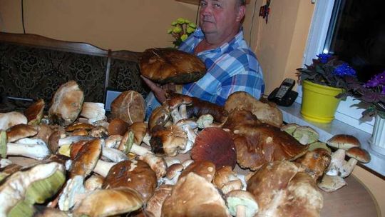 \"Znalazłem prawdziwka giganta. Kto pobije ten rekord?\"