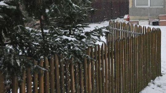 Znaleziono martwą 37-latkę. Brat i partner zatrzymani
