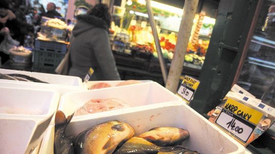 Znane sklepy rezygnują z żywych karpi na święta. "Czekaliśmy na to od wielu lat"