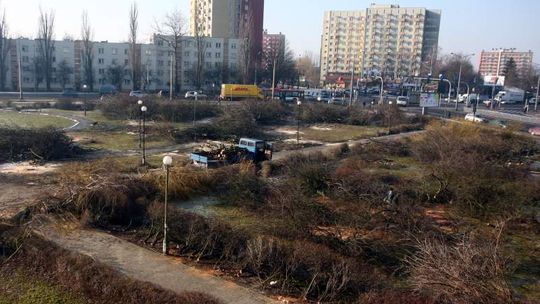 Zniknął zielony zakątek na Bronowicach. Wycięli 77 drzew. "To barbarzyństwo!"
