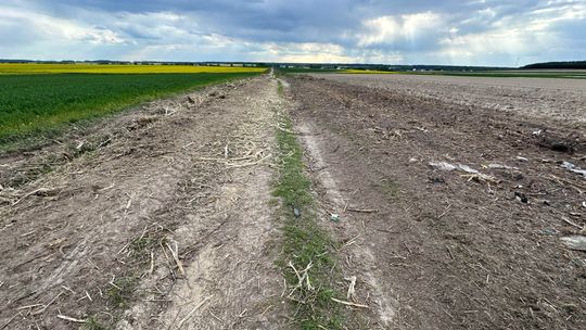 Zniknęły drzewka i krzewy na kilku kilometrach. Mieszkaniec: „Zmasakrowali ten teren”
