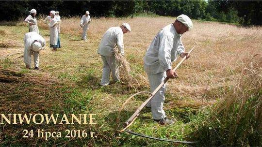 Żniwowanie i warsztaty w Skansenie
