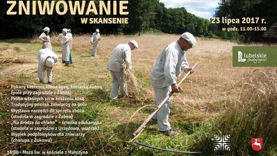 Żniwowanie w Skansenie