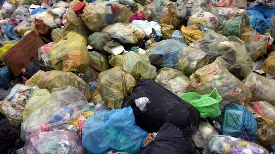 Znowu nie udało się wybrać firmy, która wywiezie śmieci w Lublinie. Za drogo