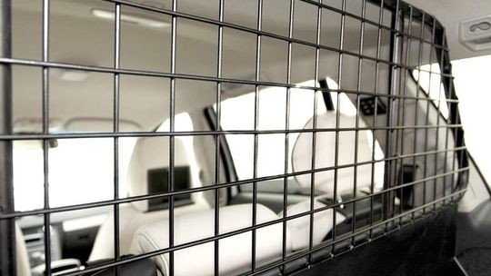 Znowu sezon na samochody z kratką. Ile można zyskać?