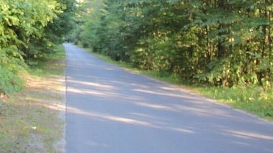 Zobaczył kobietę przy drodze, na szczęście zawrócił. To mogło uratować jej życie