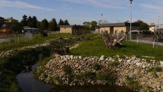 Zoo w Zamościu: Hipopotam Fupi i kapibary mają nowy dom