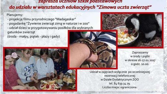 ZOO w Zamościu zaprasza na ferie. I podsumowuje bardzo dobry rok